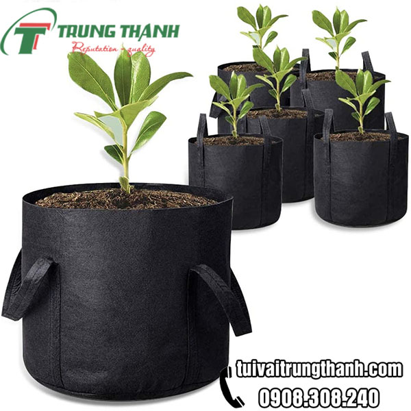 Túi vải trồng cây chuyên dụng phổ biến nhất hiện nay