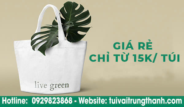 Túi tote giá rẻ tại HCM