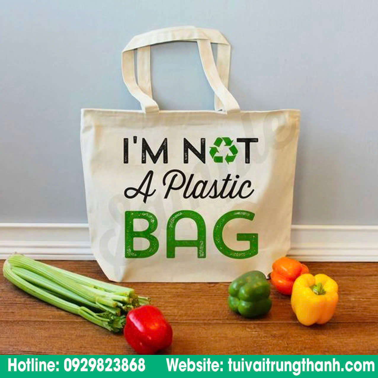Túi thân thiện môi trường