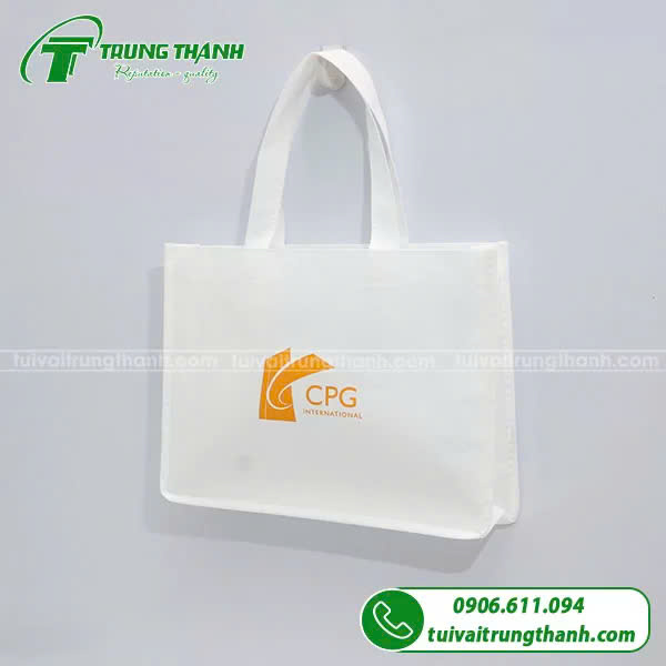 Mẫu túi vải không dệt dạng hộp