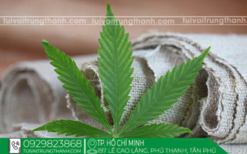 Được tạo từ cây gai dầu