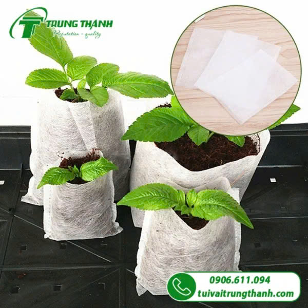 Túi vải không dệt trồng cây