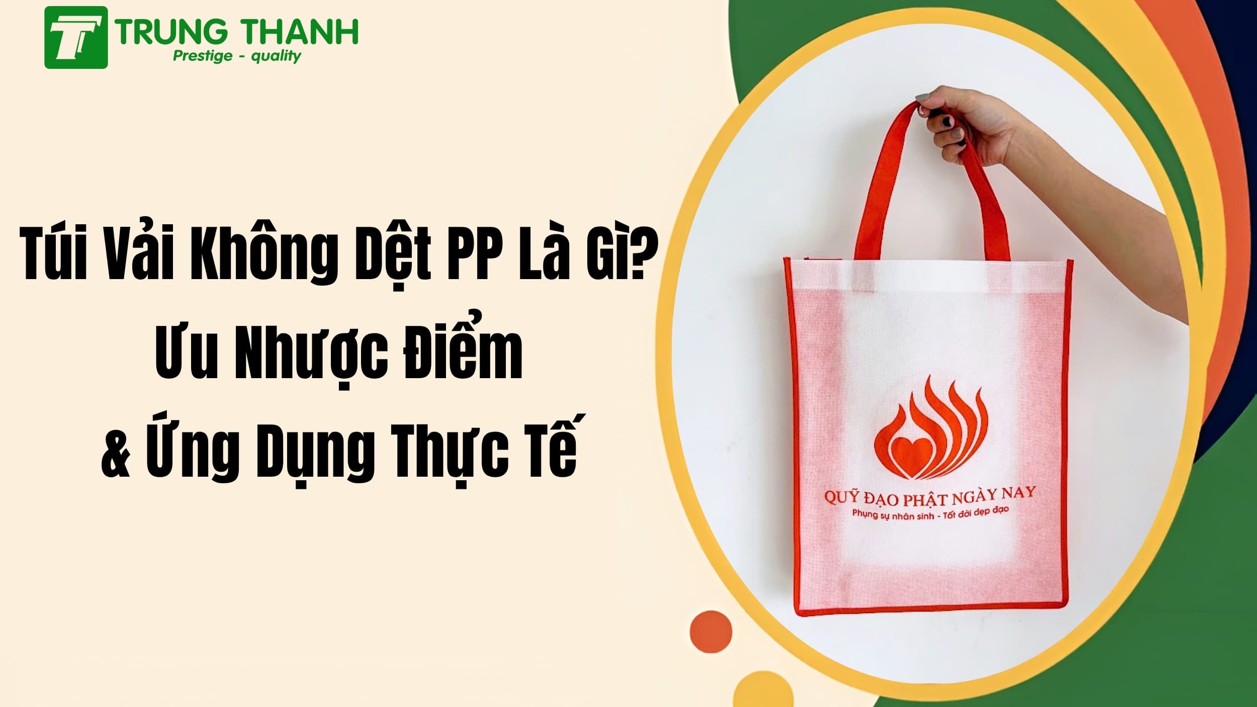 Túi Vải Không Dệt PP Là Gì? Ưu Nhược Điểm & Ứng Dụng Thực Tế