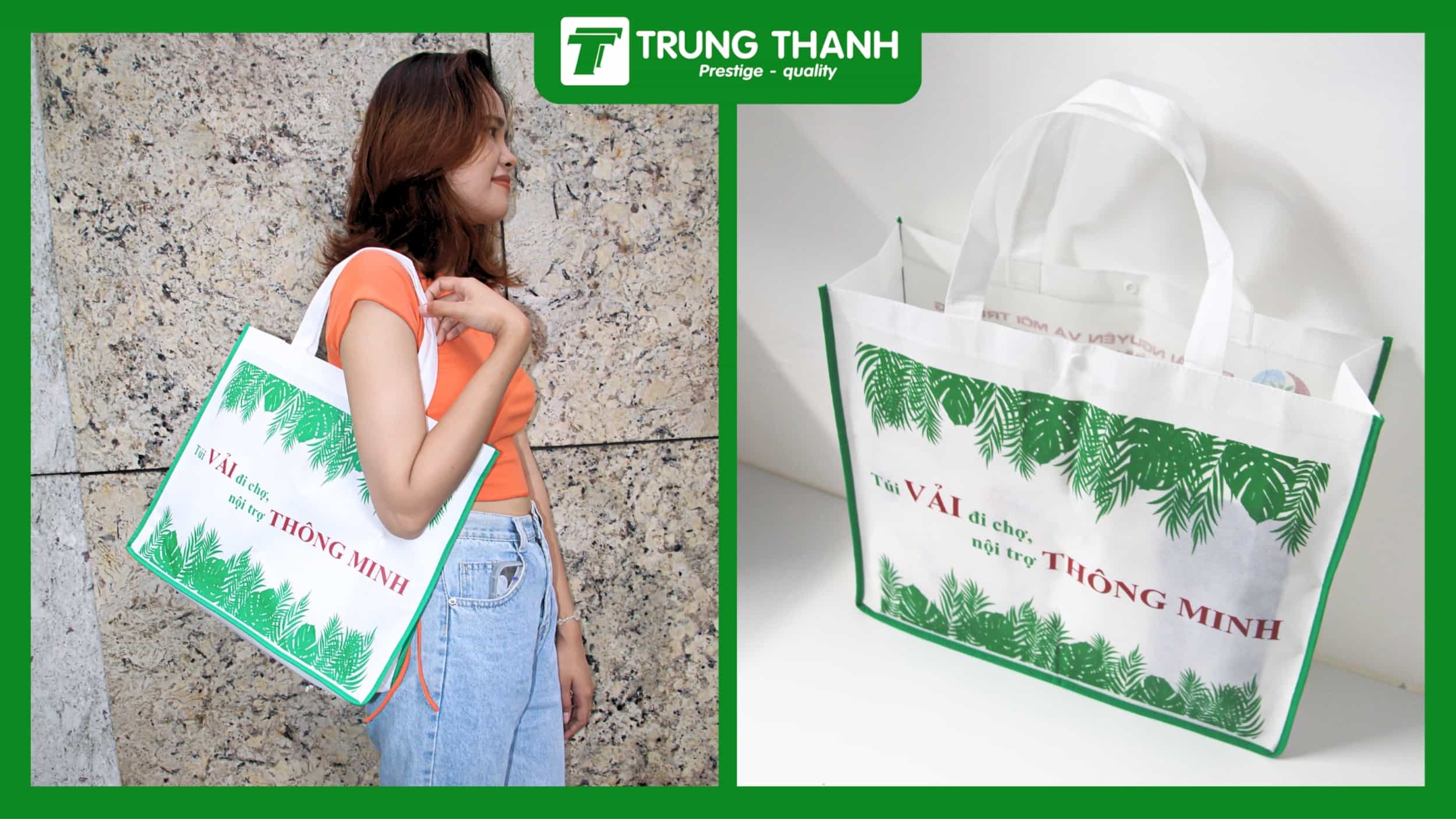 Túi siêu thị, cửa hàng