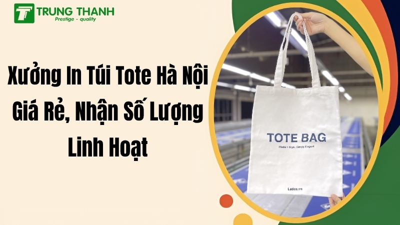 Xưởng In Túi Tote Hà Nội Giá Rẻ, Nhận Số Lượng Linh Hoạt